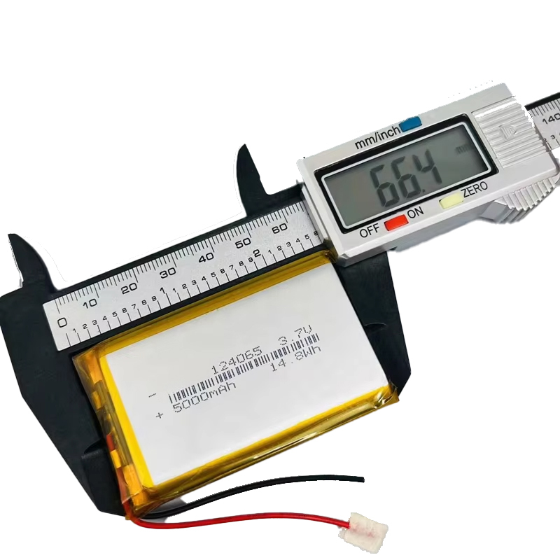 Batteria Ricaricabile agli Ion - Diy Wearable Electronics recensione e prezzo