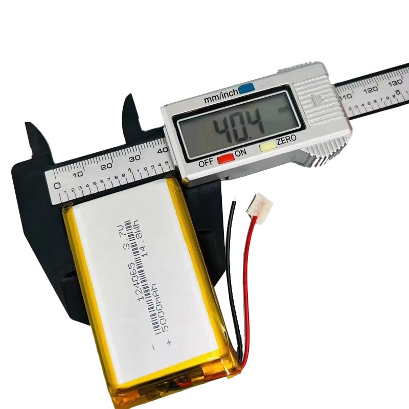 Batteria Ricaricabile agli Ion - Diy Wearable Electronics recensione e prezzo